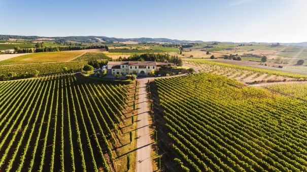 Domaine Gayda présente sa gamme de Vins Gayda-Sphère Domaine Gayda
