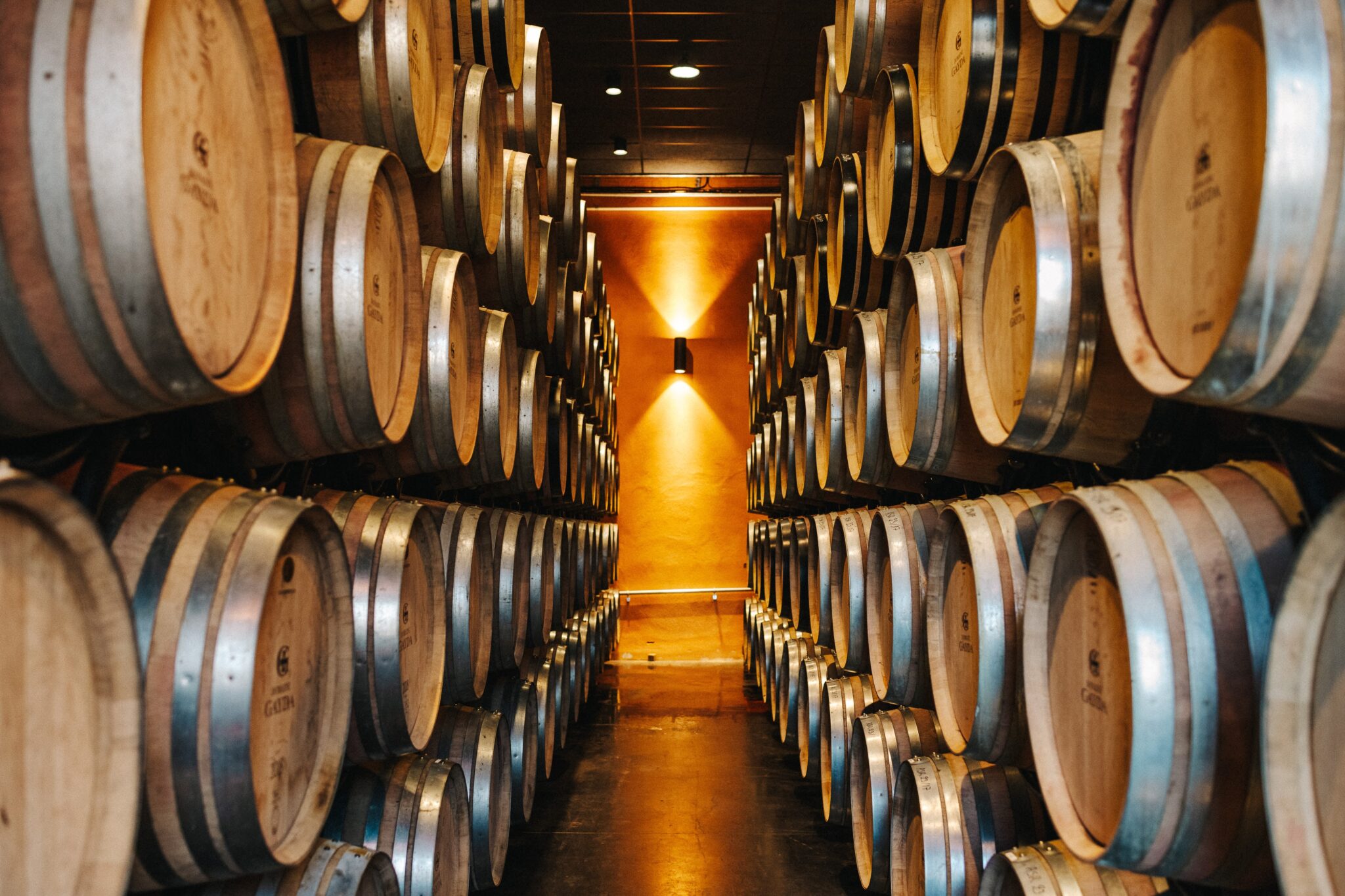 Innovation-et-tradition-cave-Domaine-Gayda