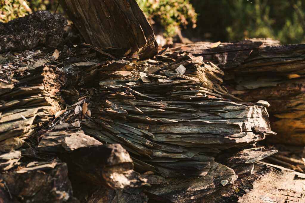 Terroir_Col_De_La_Dona_1
