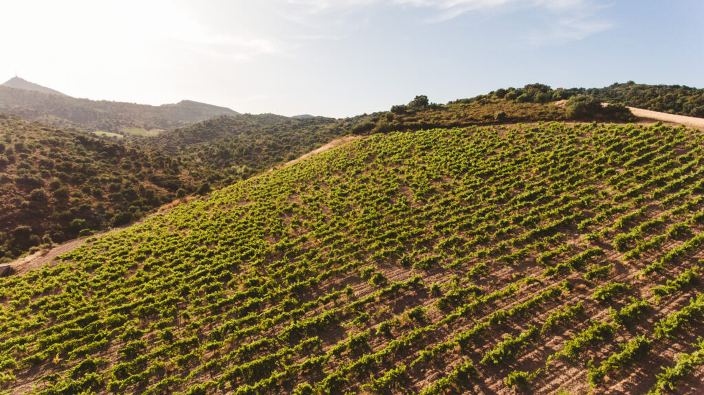Terroir_Col_De_La_Dona_3