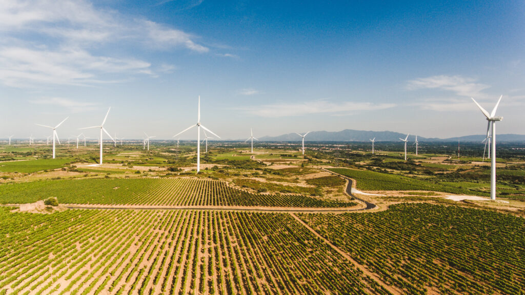 Terroir_Col_De_La_Dona_4
