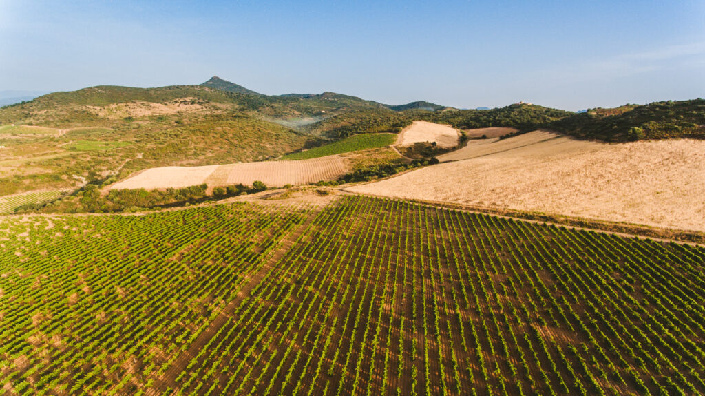 Terroir_Col_De_La_Dona_5
