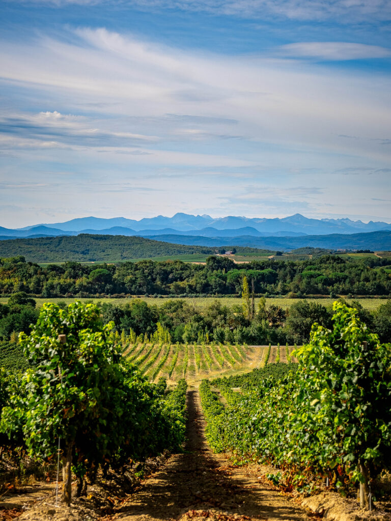 Terroir_Domaine_Gayda_2