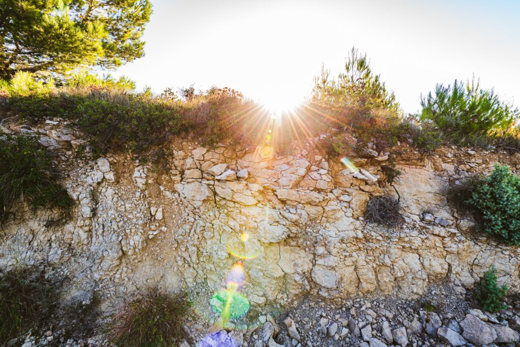 Terroir_la_Livinière _3