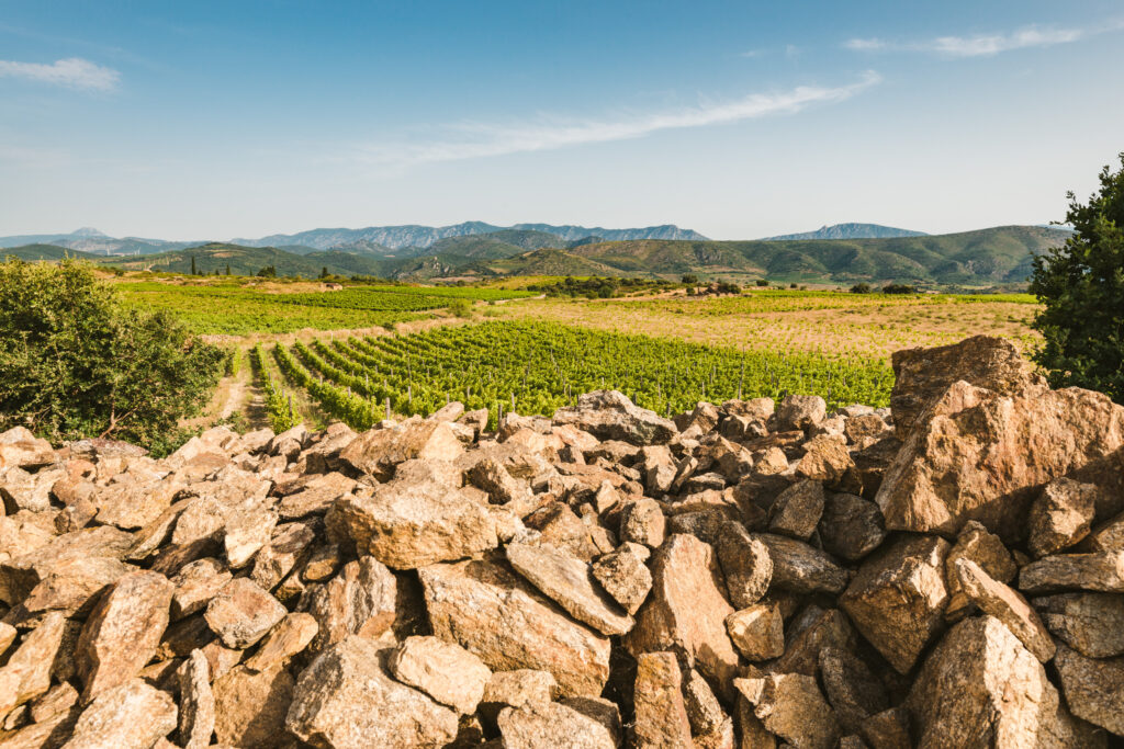 Terroir_Latour_de_France_1