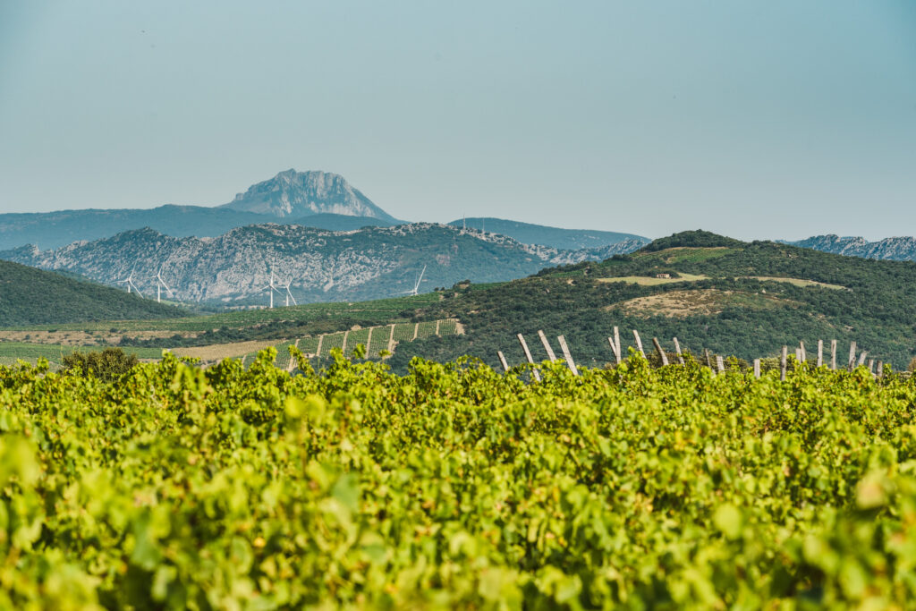 Terroir_Latour_de_France_2