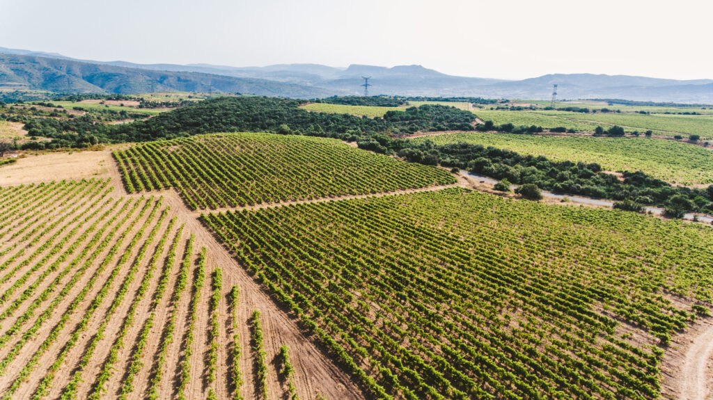Terroir_Latour_de_France_3