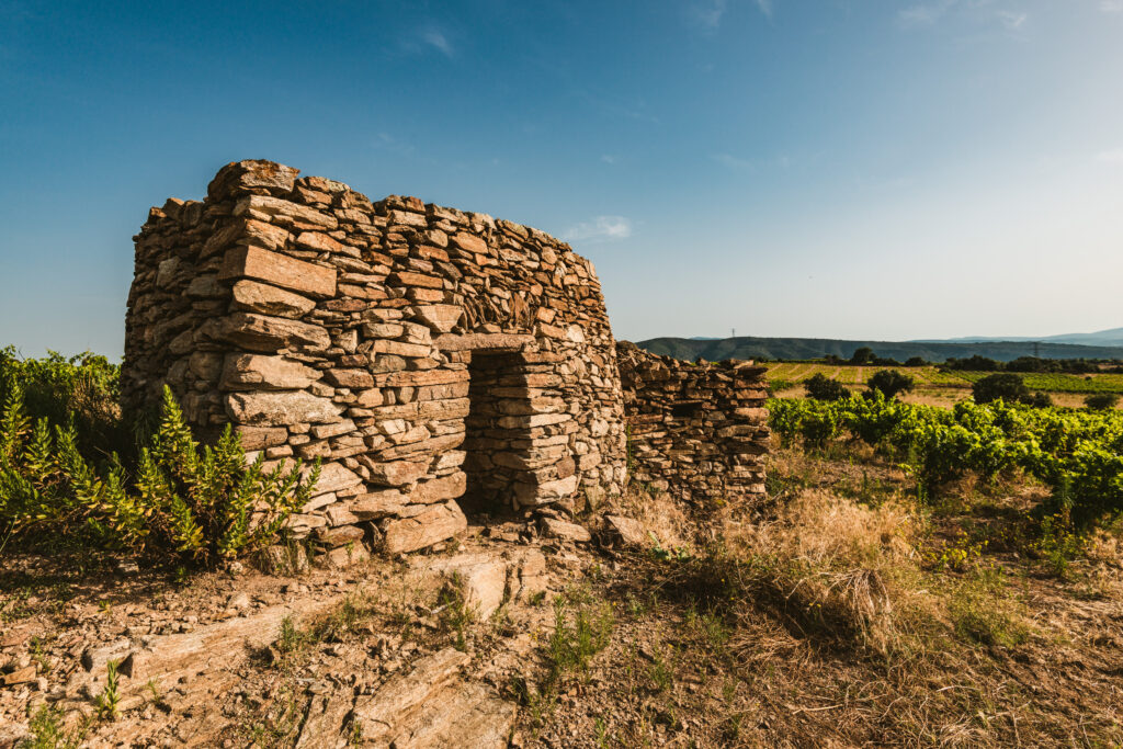 Terroir_Latour_de_France_4