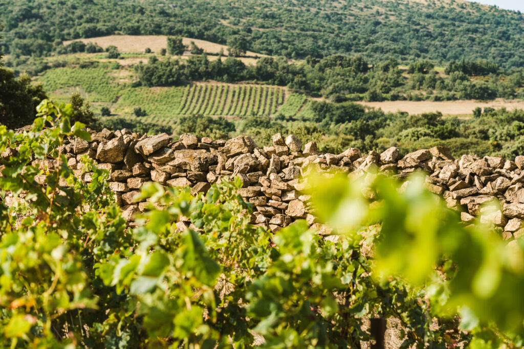 Terroir_Latour_de_France_5