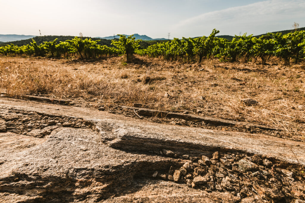 Terroir_Latour_de_France_6