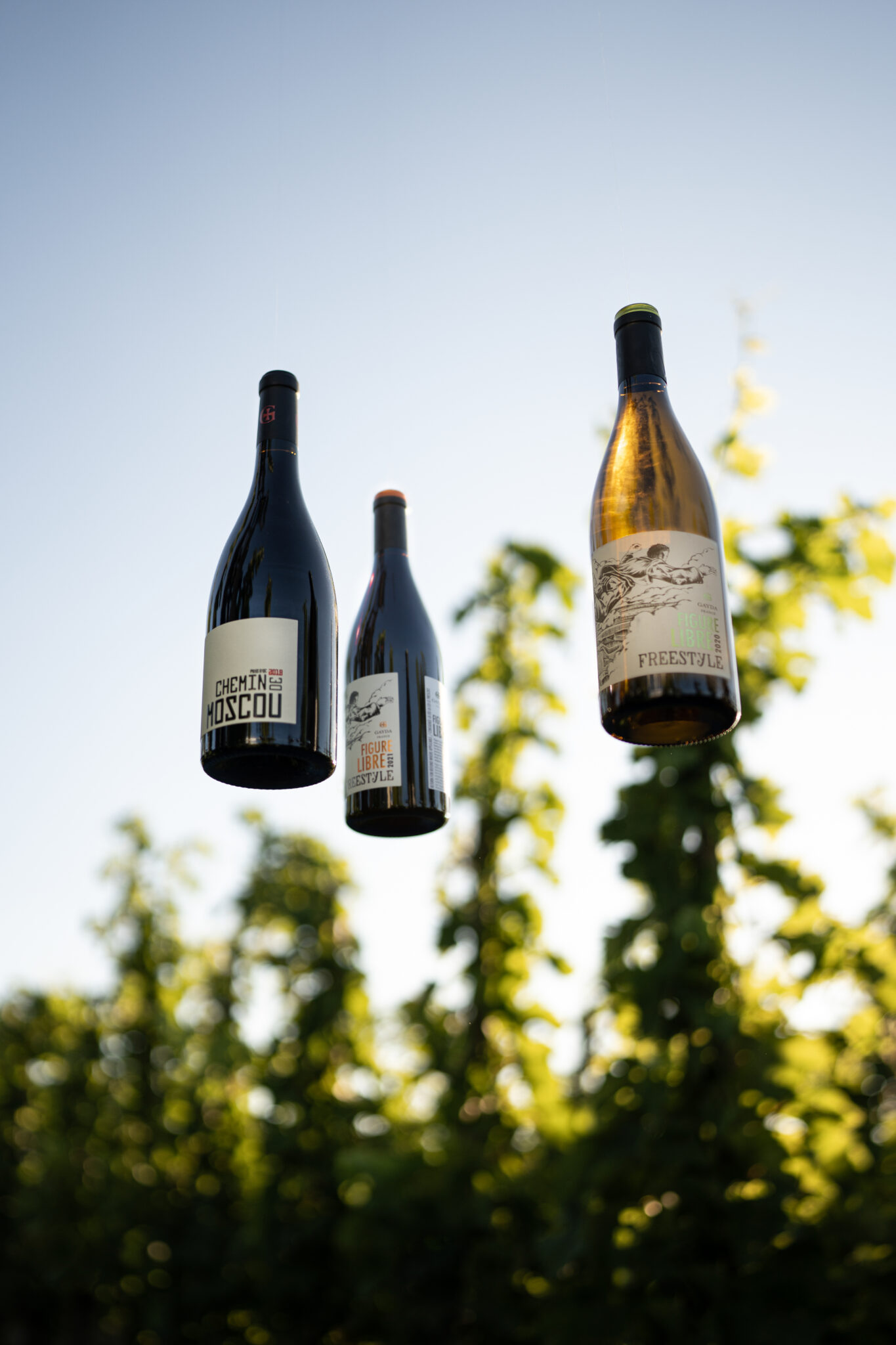 vins-biologiques-carcassonne-boutique-domaine-gayda