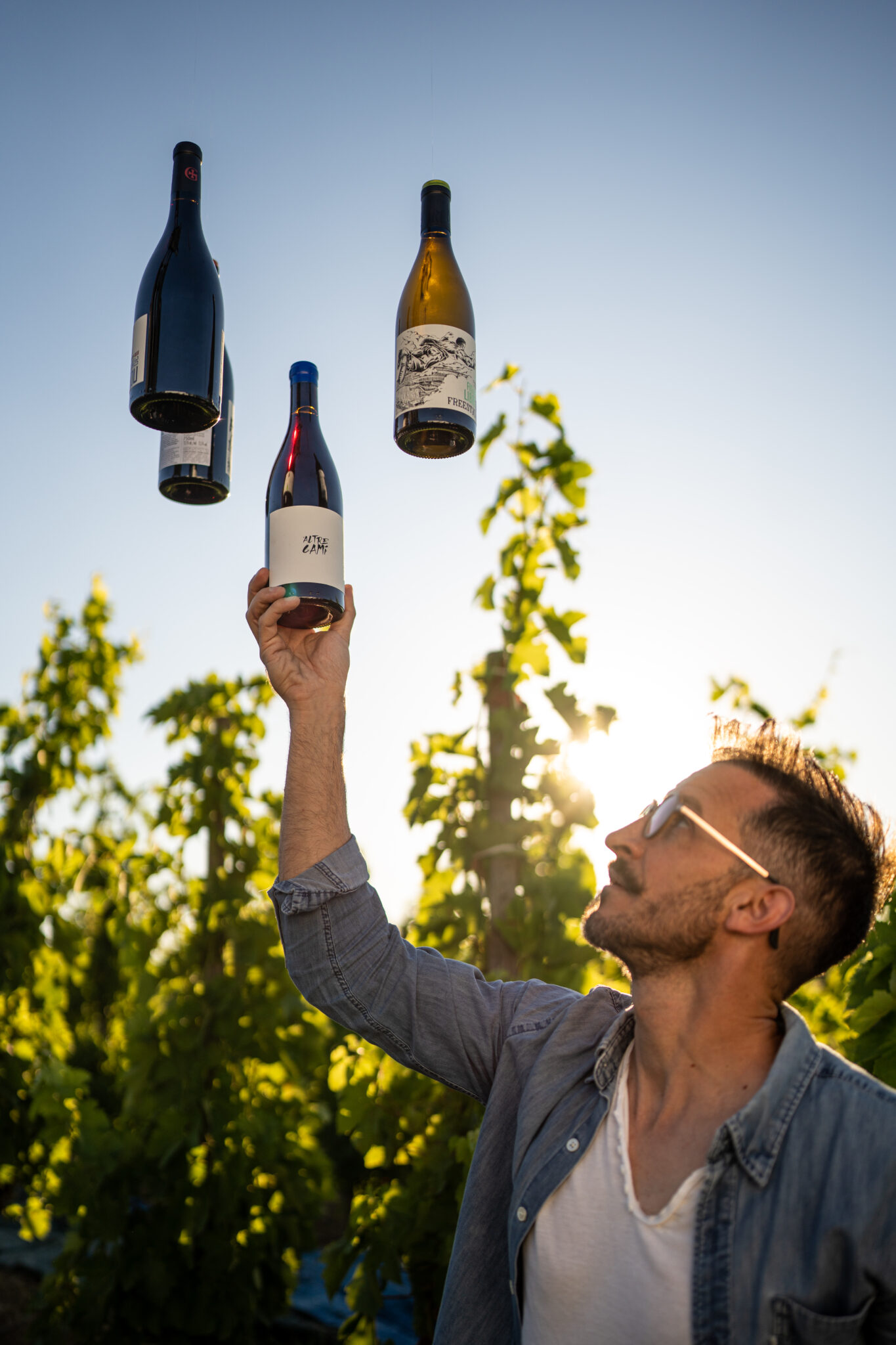 Vins_Domaine_Gayda_Carcassonne