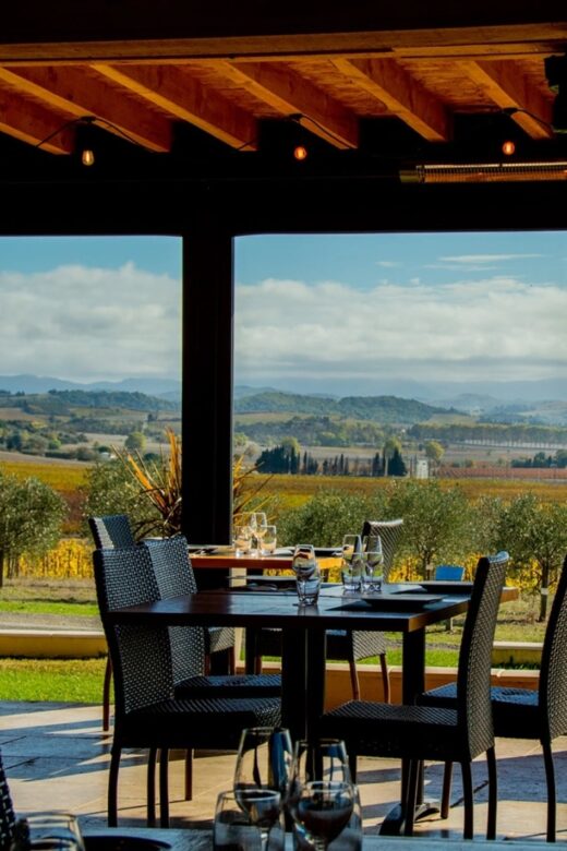 Votre Domaine Viticole dans l’Aude