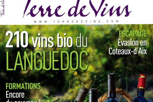 Domaine Gayda En Passant Blanc &#8211; Terre de Vins