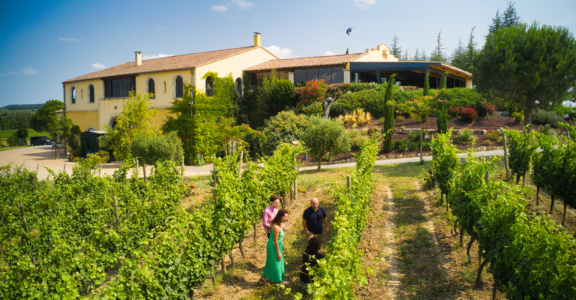 Actualités-Domaine-Gayda-Brugairolles-Aude