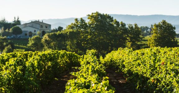 Contact_Domaine_Gayda_Brugairolles