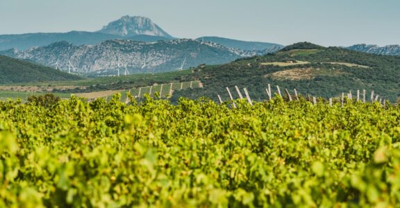 Où acheter notre vin ?