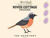 The Redstart