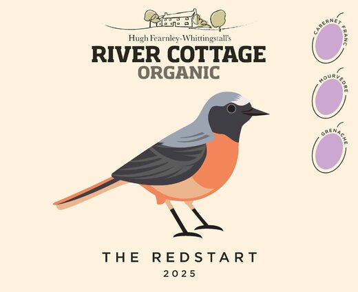 The Redstart