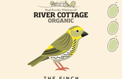 THE FINCH