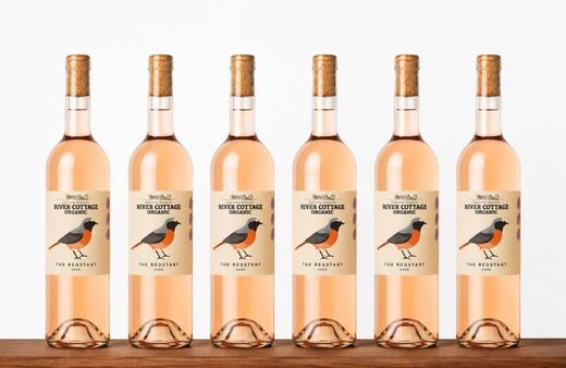 The Redstart