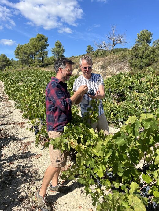 Our club is a community of wine lovers: we’ve applied the principles of ‘farm to fork’ to these very special organic vineyards, bringing you wines direct from our beautiful French domaine.